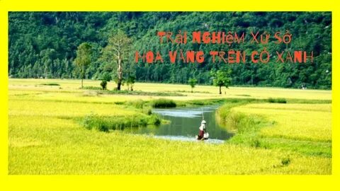 Câu chuyện cậu bé họ Huỳnh ở Uông Bí và hành trình đổi đời cùng Hotspot Matrix_Video ngắn YouTube Shorts